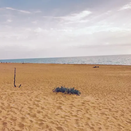 住宿加早餐酒店 Frontemare